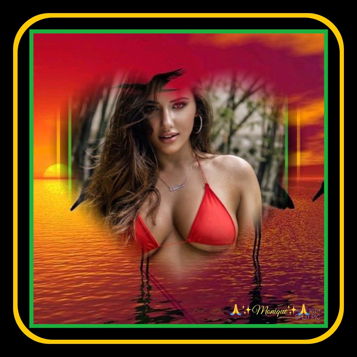 {TF#2}🙏💞”Hola, soy Monique, amiga incondicional de quienes me valoran y me siguen por aquí”💞🙏