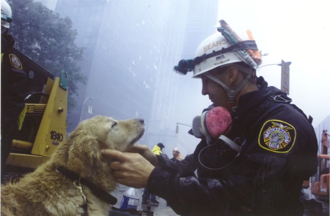 Loretta_Swit's tweet photo. Never Forget 🙏🏻💔🇺🇸🐕@searchdogfdn #NeverForget #WeRemember911 #September11 #searchdogfoundation #911NeverForget #20yearslater #k9 https://t.co/hfXRBa191y https://t.co/mn9XcopX7X