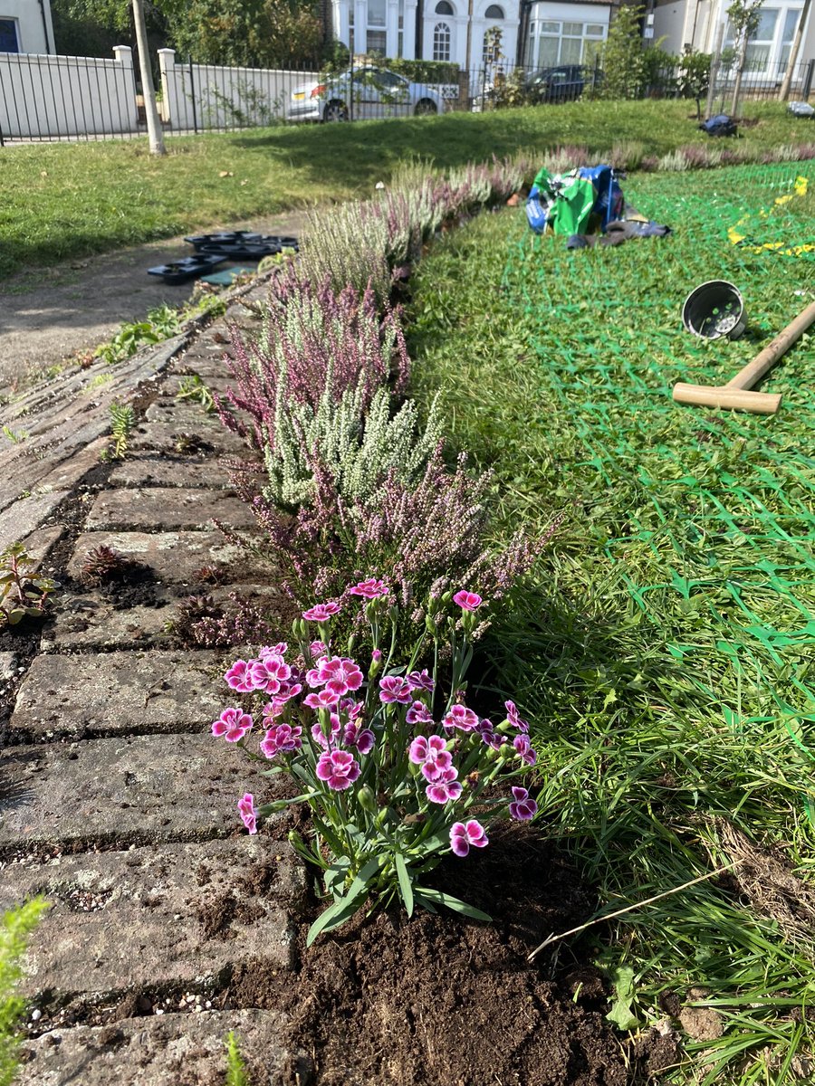 Our Living Wall; a first for #Haringey has been planted. It is now just a matter of time before the alpines and succulents begin to sprawl and trail across the wall 🌱🌿 #NationalParkCity