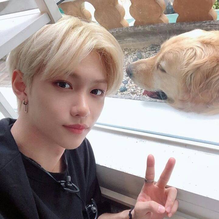 VIPERCALZ's tweet image. not  new  to  edtwt , just  made  a  diff  account

▪︎ edtwt  /  shtwt 
▪︎ cw157  ugw97
▪︎5'4" 

♡︎  or  ↻  4  moots