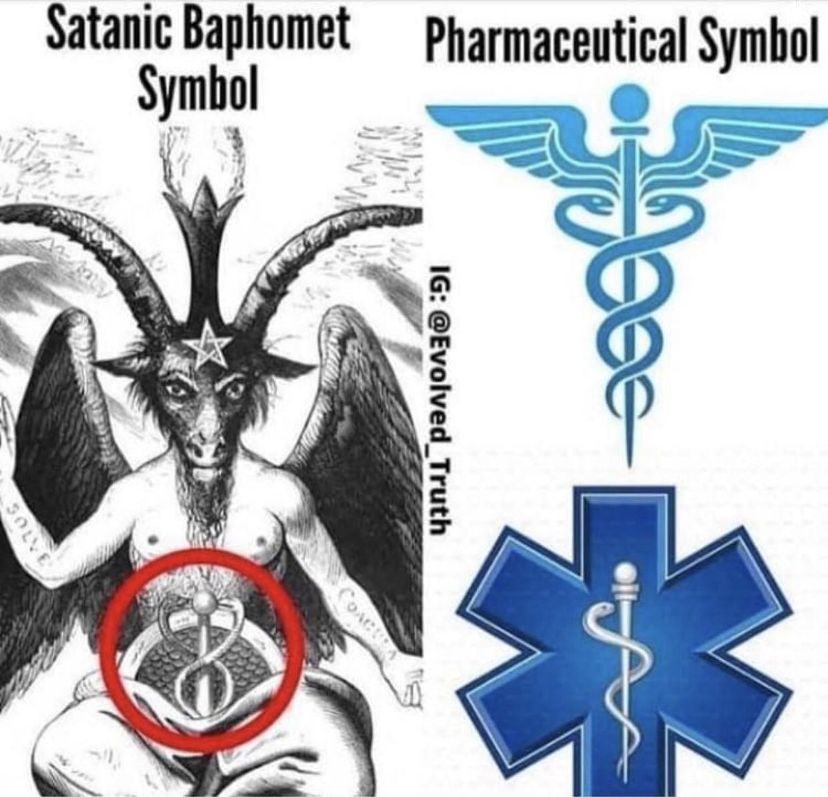 PaulsCorner-VerseQuest tweet media