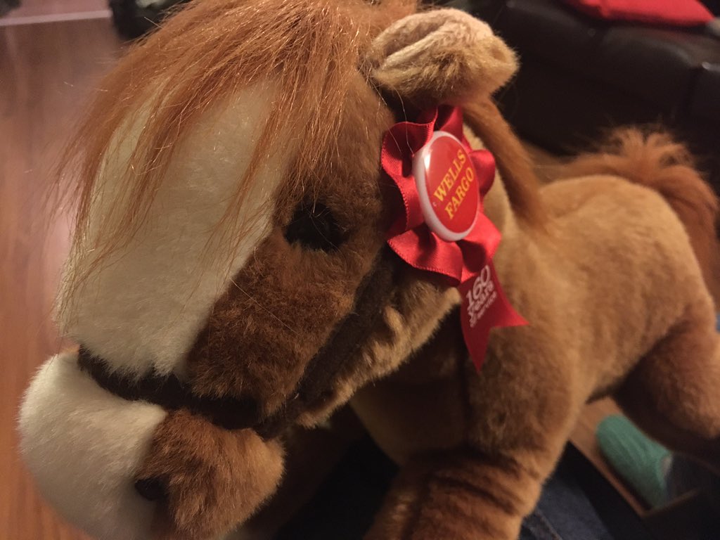 Sarah Carter tweet media