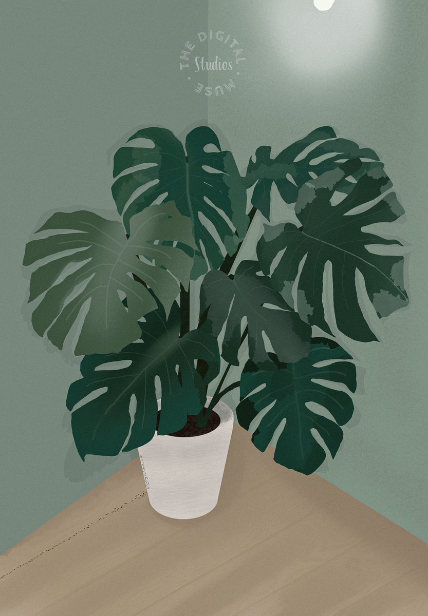 _DigitalMuseSt's tweet photo. Iβve been on a plant π± drawing kick for a while, I hope you enjoy.
#theDigitalMuse #procreate
#artistsontwitter #digitalart #plant #plantdrawing https://t.co/YRLOJ1x1hP