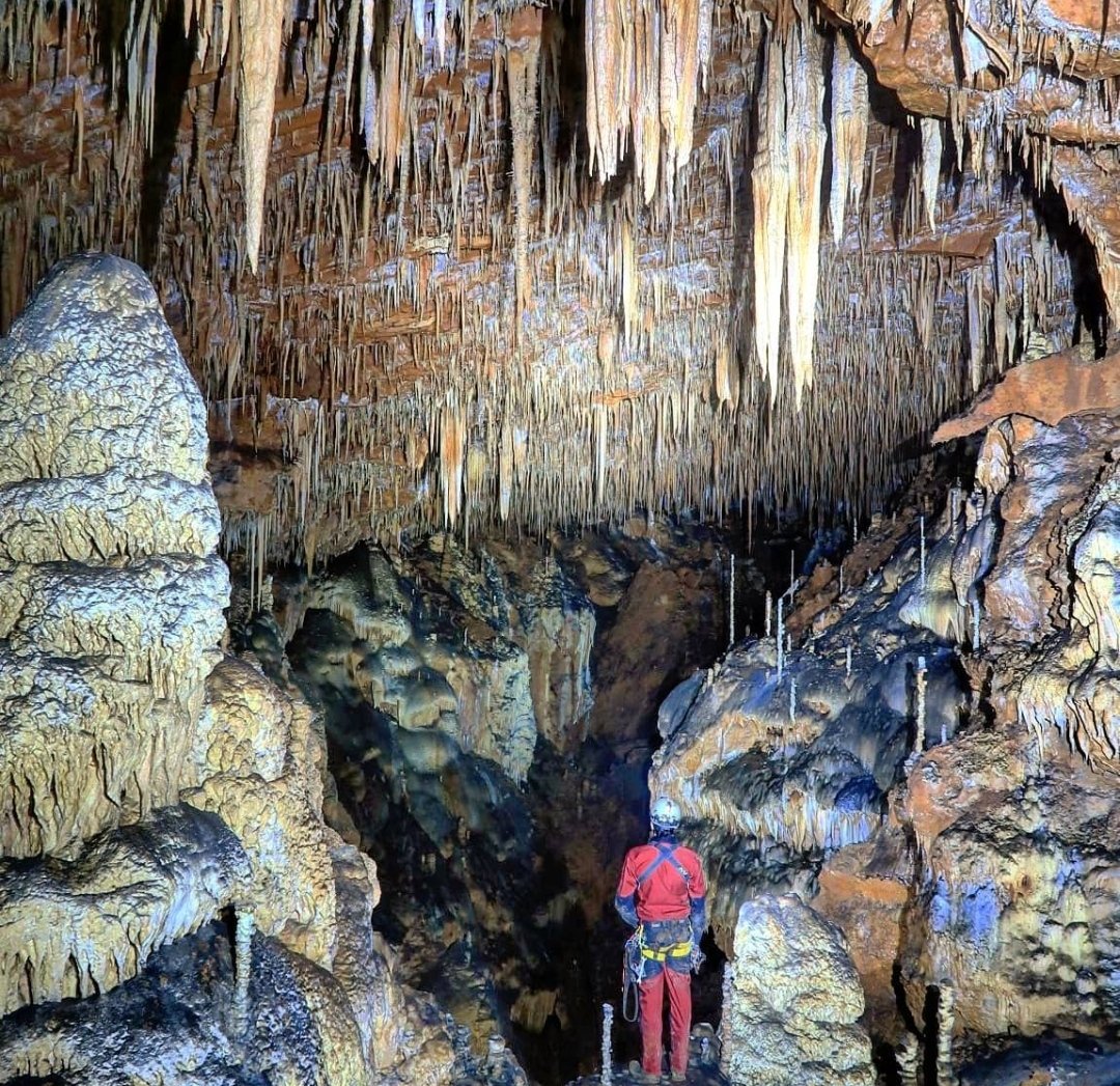 CyLEsVida's tweet photo. ¡La Soria subterránea también sorprende! Así son las entrañas de algunas de las simas del Cañón del Río Lobos, toda una catedral bajo la superficie.

📸 @l.p.rock @sorianitelaimag  
https://t.co/xS9cCwgKaM