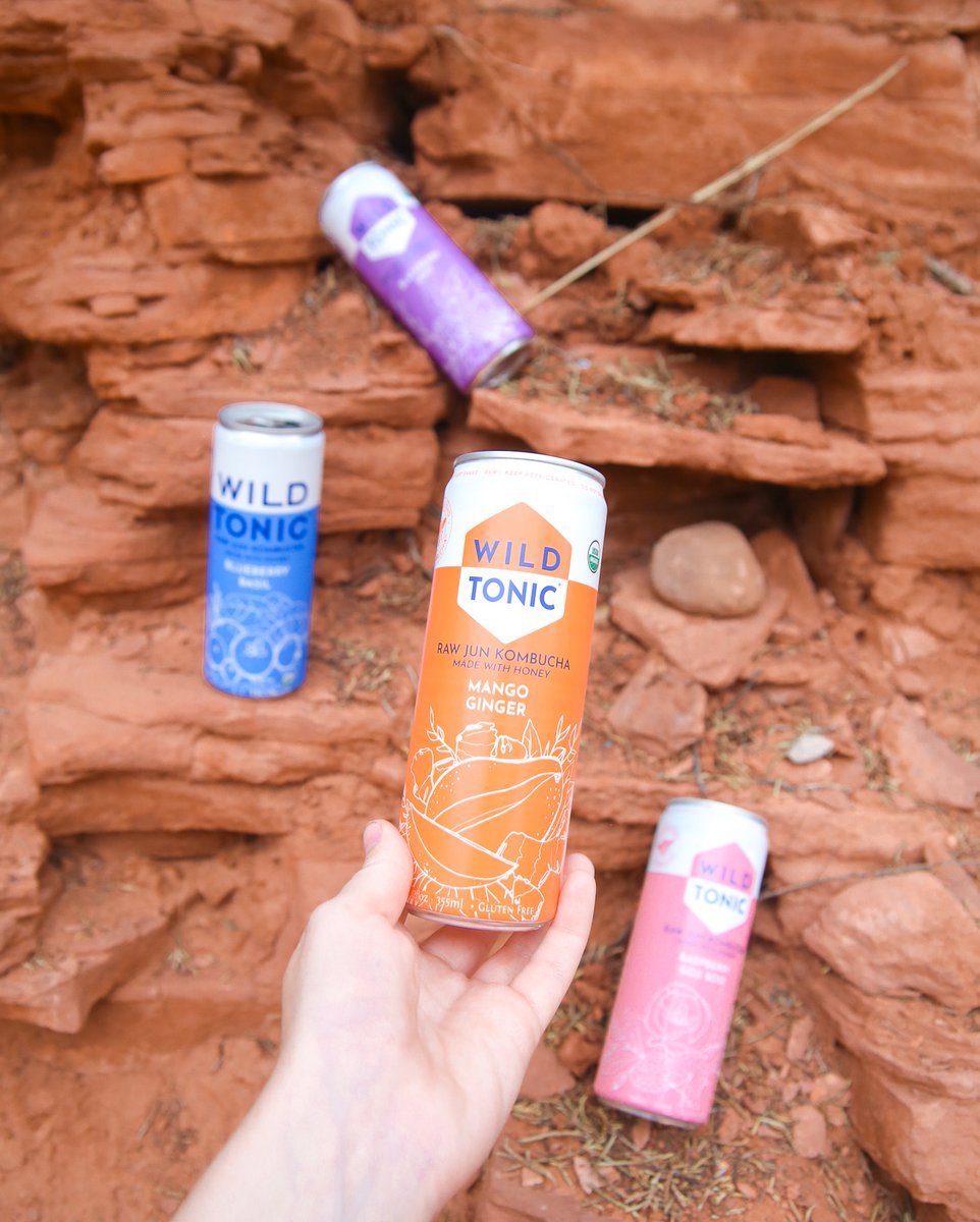 WILD TONIC (@drinkwildtonic) on Twitter photo 