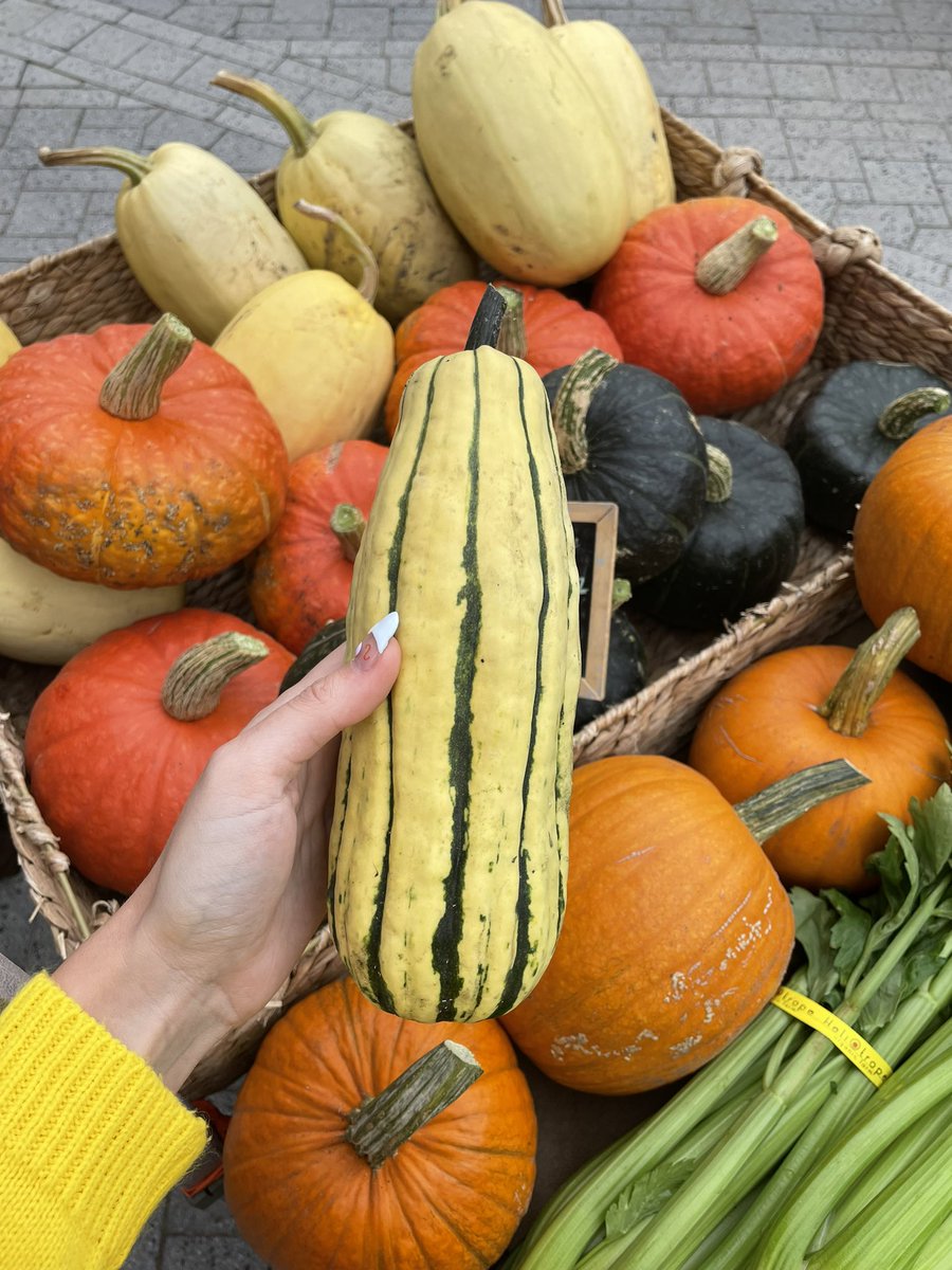 MarketRegina's tweet photo. Head down to the market between 9 am and 1 pm today to get your hands on some beautiful locally produced goods 🌻
#ReginaFarmersMarket
#FarmToTable #ShopLocal
#ReginaFood #YQRFoodie
#Saskatchewan
#MadeInSask
#BakedInSask
#GrownInSask
#DesignedInSask https://t.co/thFAWGN9dg
