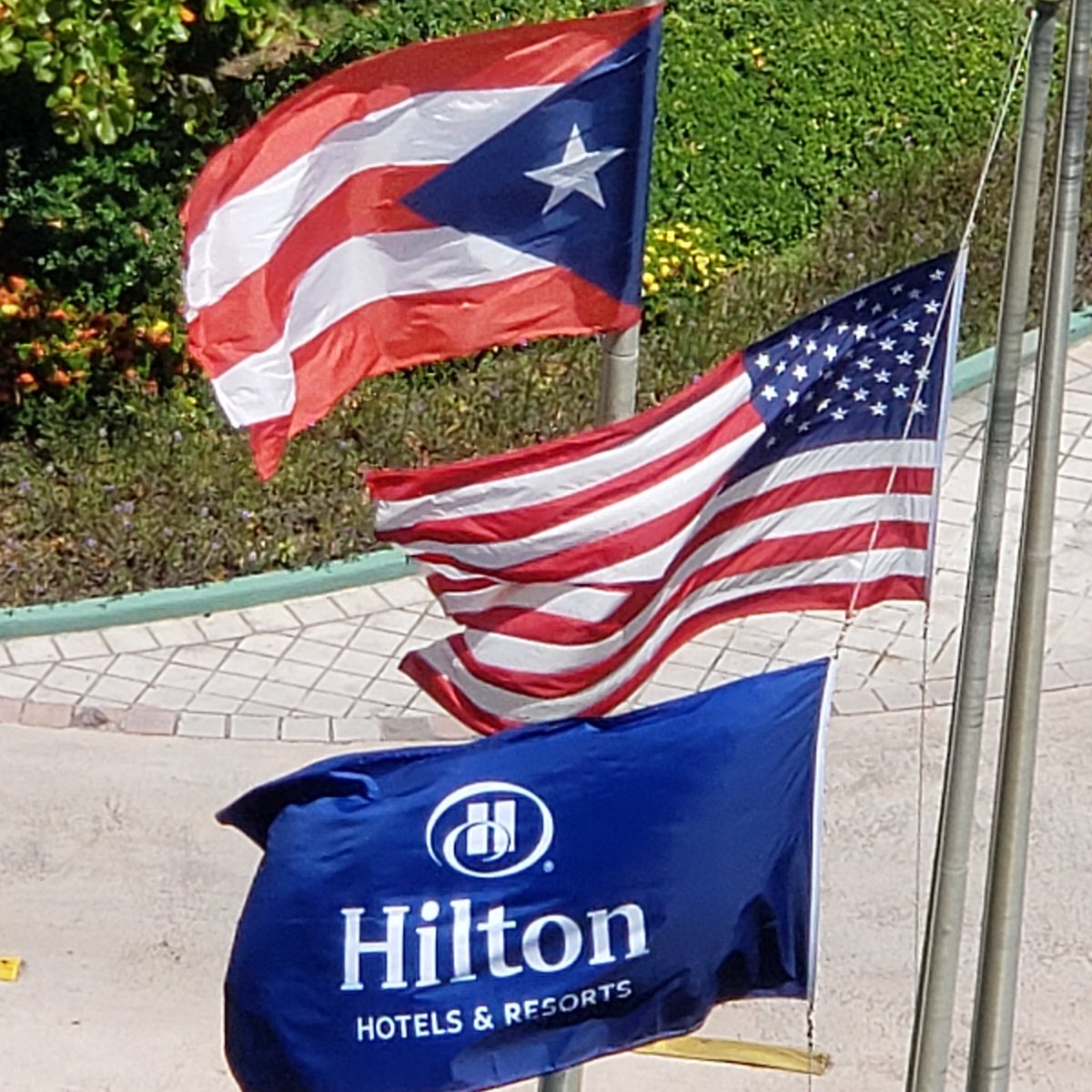 KitBernardi's tweet photo. Always remember 9/11. Flags flying at half mast in Puerto Rico.
@visitpuertorico @hiltonhotels @caribehilton @ustravel_association #LetsGoThere #911Anniversary #AlwaysRemember #caribehilton #ustravelassociation #pcmafoundation #pcmahq #pcmapartnershipsummit https://t.co/ytl68Qy0BV