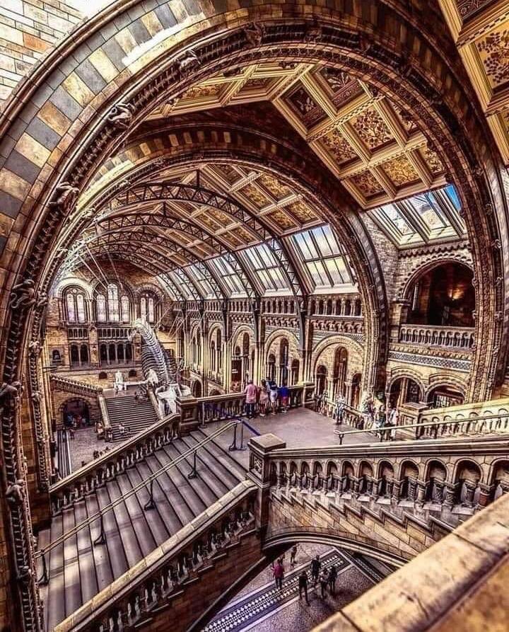 Arteymas_'s tweet photo. Museo de Historia Natural de Londres https://t.co/zrmBliKjDK