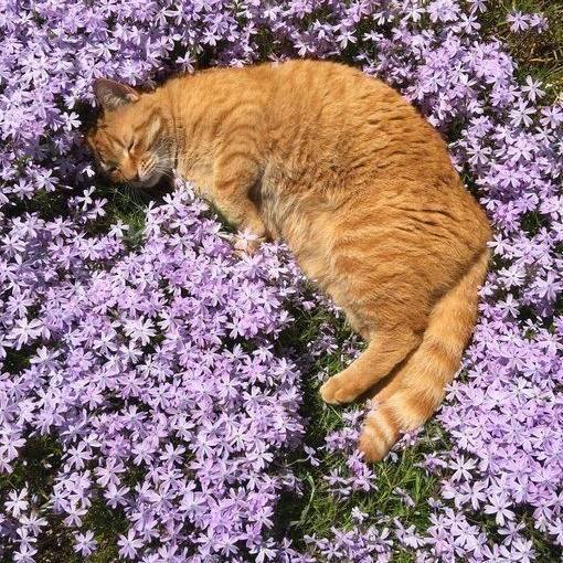 💜