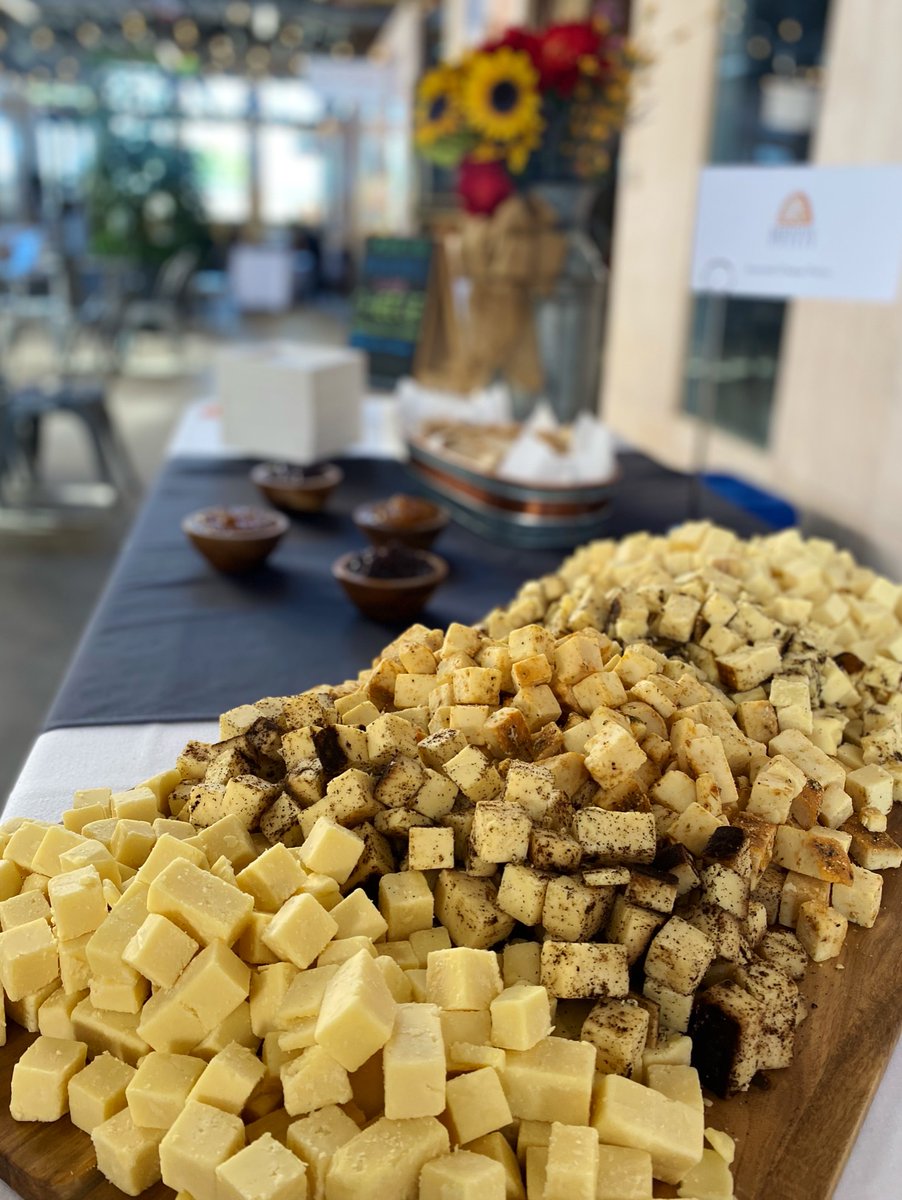beehivecheese's tweet photo. Look at that mountain of cheese cubes 👀Couldn't you just take a big 'ol handful?? …But please refrain from grabbing a hand full, that isn't sanitary.
.
#makingfriendswithcheese #cheesecubes #cheese #barelybuzzed #seahive https://t.co/oNBSCoXOmK