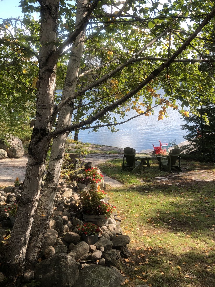 Fall is in the air and the first leaves are turning colour.