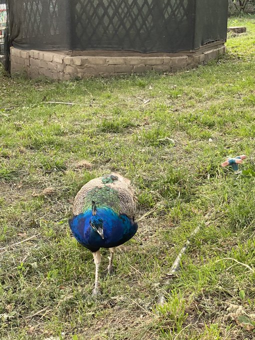 ужасный день. я думала что съездим в карьер и сделаем красивые снимки, но по итогу попали в какой-то