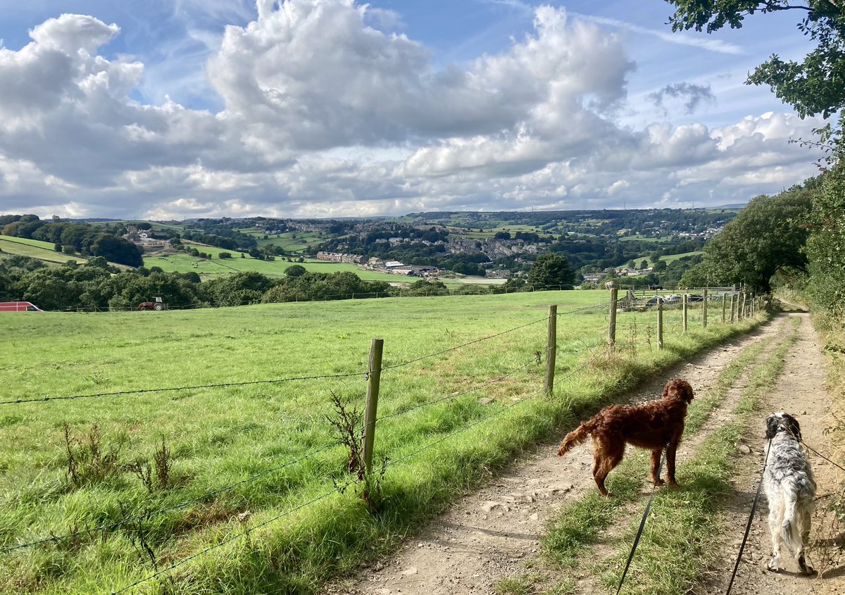 Tim_C_Ingram's tweet photo. Leaves are turning #autumnal, hedges are bursting with fruit and a lovely warm gentle breeze on today’s dog walk. Very pleasant wander with the girls, who are snoozing now. Job done. #JaggerGreen https://t.co/iPGA5pcRjo