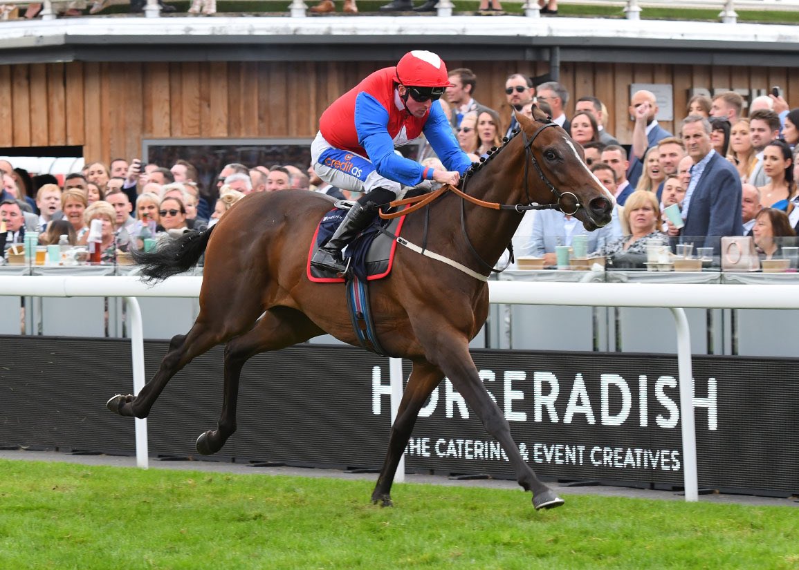ChesterRaces's tweet photo. RACE 7 RESULT - The @HorseradishCR Catering Handicap Stakes

🥇Emiyn
🥈Little Ted 
🥉Zambezi Magic 

Jockey: @shaw_harrison 

Trainer: @declan_carroll 

Owners: Fab Five

📸 @offphoto

#ChesterRaces https://t.co/sA4pUc7Gso