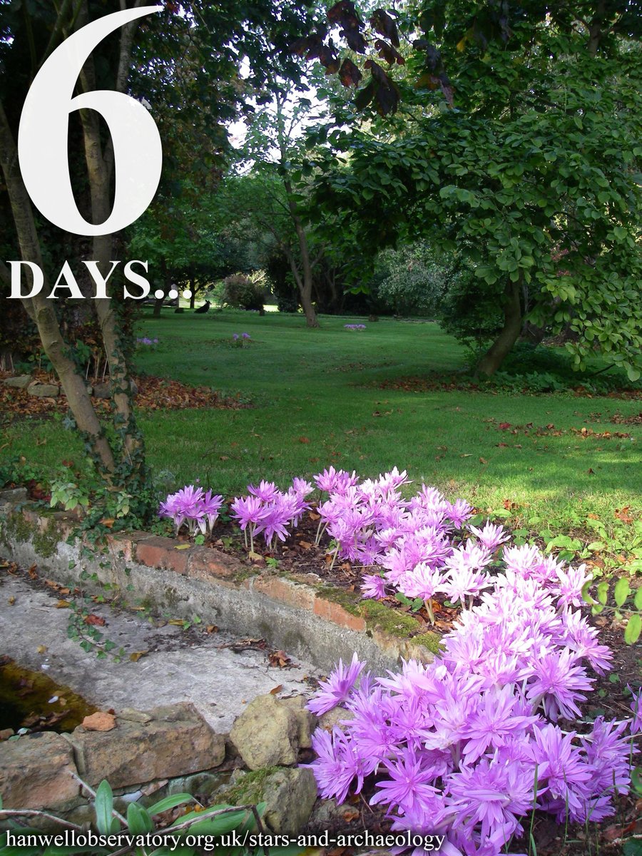 HanwellObs's tweet photo. Follow the #woodland walk through Hanwell Castle's beautiful grounds and #gardens at our Stars &amp; Archaeology event next weekend...

Find out more: https://t.co/HxYCYsxzWO https://t.co/tnD45dXU5d