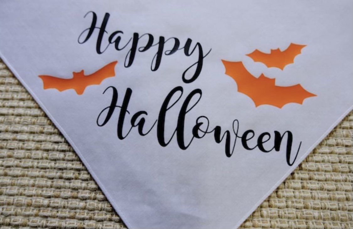 HelloHazelCo's tweet image. What’s this? Yes! New Halloween bandanas! It’s all treats for any pup going out in these 🍬 Which one will you grab to make your pooch look extra spooky this Halloween? 🦇🦴🎃

#halloween #halloween2021 #dogbandana #dogaccessories #dogcostume #trickortreat