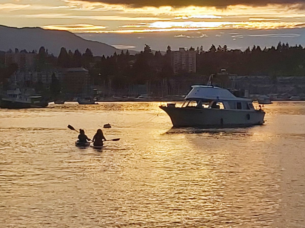 There was yet another glorious Nanaimo sunset last night - paddlers crossing a glittering sea of golden flame. We live in an area so blessed with beauty it's almost embarrassing - almost.