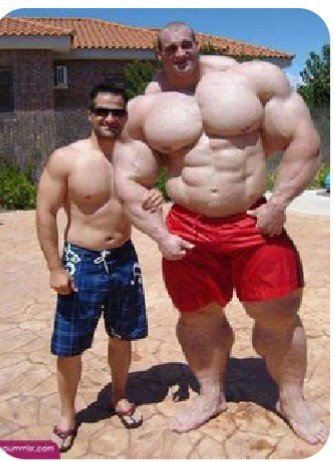 Dame Jane Michael tweet media