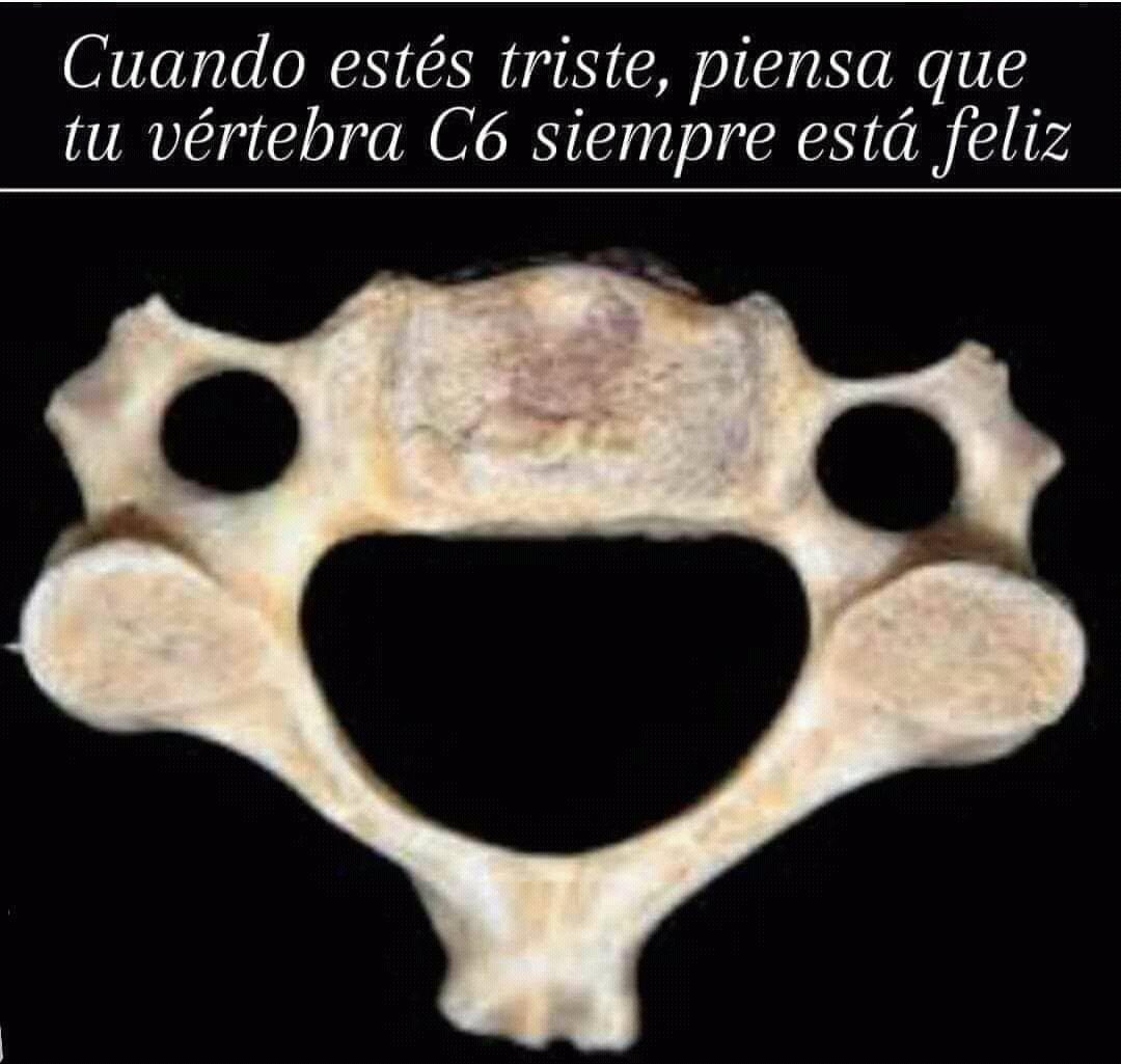 100cia_'s tweet image. 