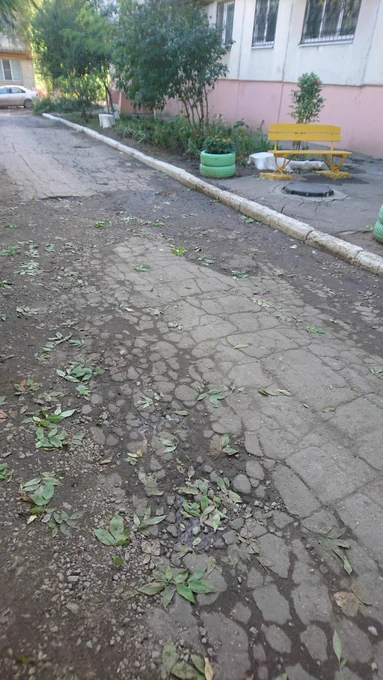 Image from Алиса (@Alisa163reg)