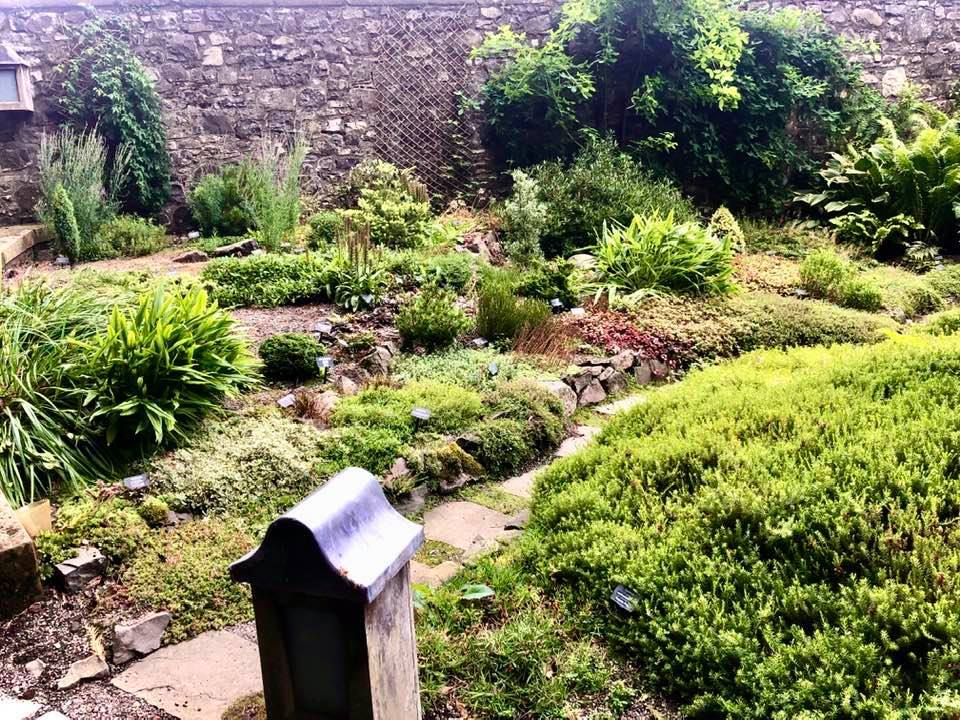The Rock and gravel garden beside the Backhouse Kitchen is looking fantastic, thanks to the kind attentions of our brilliant garden volunteers.💚🌱🌸