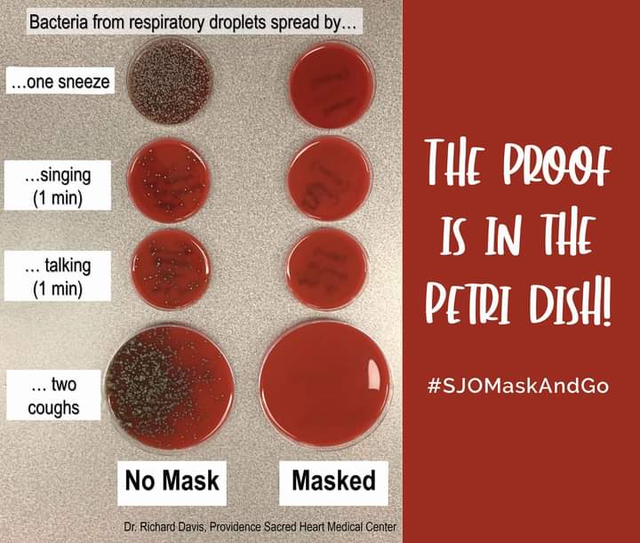 LittleMexicanBirds (@birdsmexican) on Twitter photo 