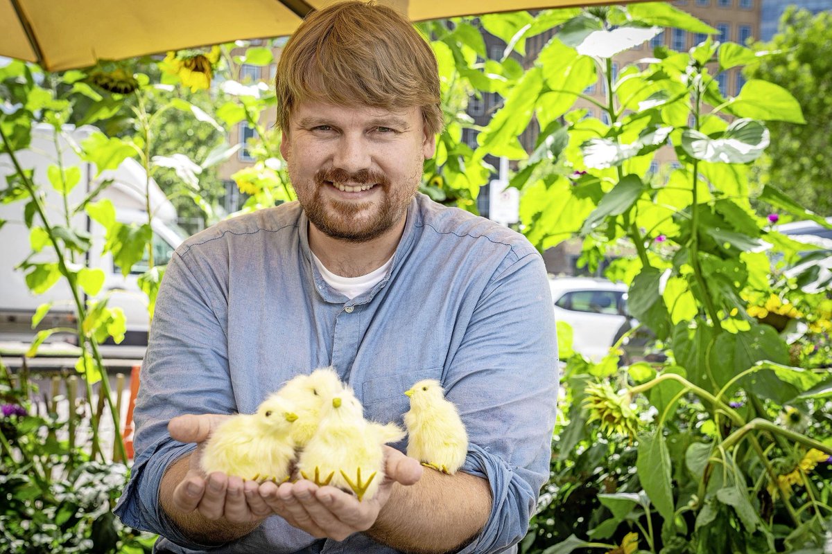 De missie van Wouter Bruins: voorkomen dat miljoenen haantjes worden gedood dlvr.it/S7NPQ6