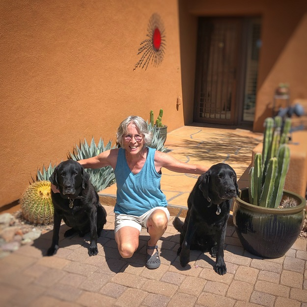 GA_SOAZ's tweet photo. #SoAZSaturdayShowcase 🐾 Welcome to the team; Denise, Arlo and Kale! We are so grateful that this terrific trio found Gabriel's Angels and will now join our invaluable team of volunteer pet therapy teams! Welcome Denise, Arlo &amp; Kale! 🐾#PetsHelpingKids https://t.co/xJJXefnPvs