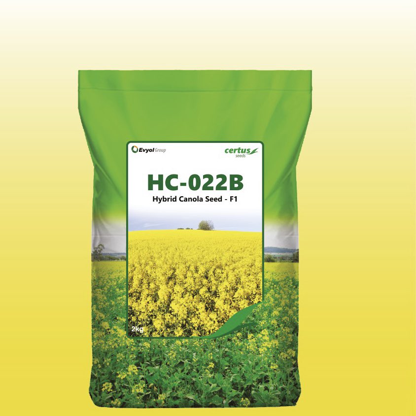 Available at Stores Now !
Hybrid Canola Seed F1 Hc 022b Certus Seed Kanzo Combagro Evyol Group !
Limited Stock !
kissanghar.pk 
Similar Varieties Hyola 401 , Hc 021C
#kisanghar #kissancard #kissanghar #canola #oilcrop #کسانگھر #hybridcanola #hyola401 #hyola #kanzo