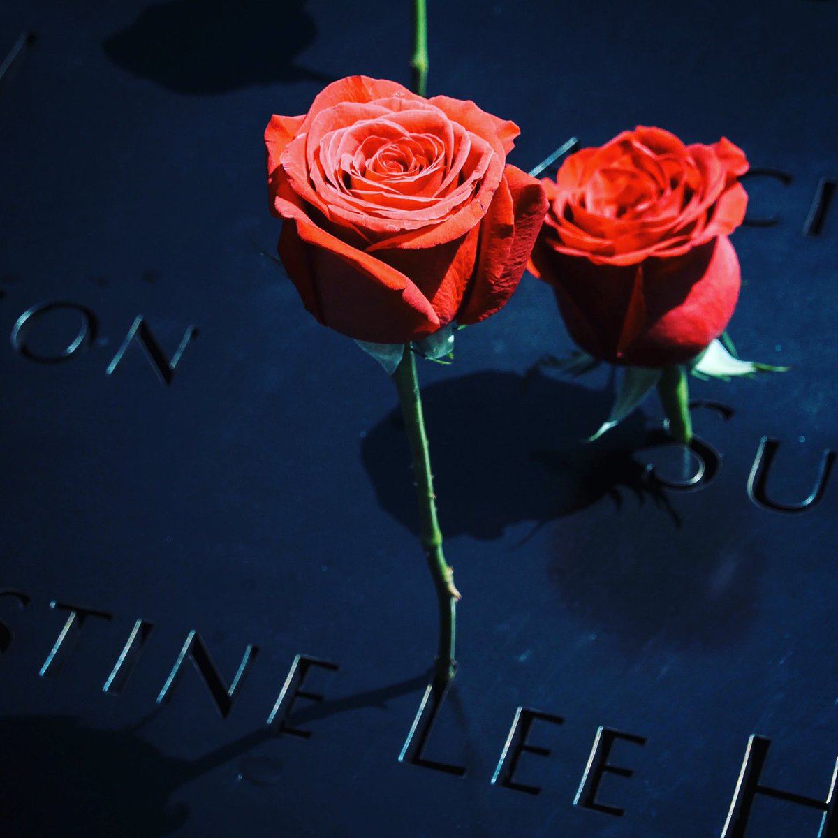 CpcGoodyear's tweet photo. May the grace and peace of Christ be with each you during this national day of remembrance on 9/11. We will never forget. Oh Lord, bind our hearts together as one people as we remember and grieve the loss we experienced on this day. #cpcgoodyear #ecochurch #911Memorial https://t.co/BLcfEFBTFR