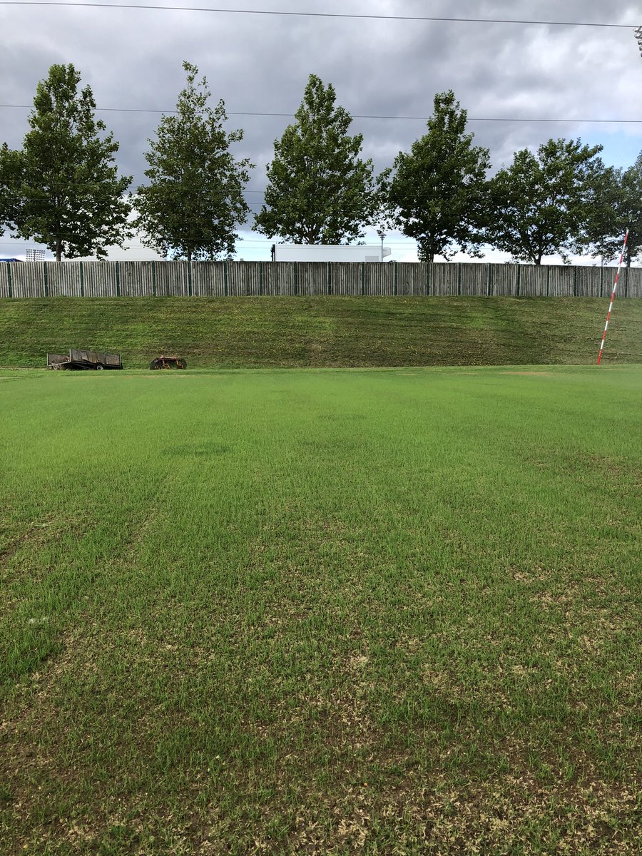 tomcowley17's tweet image. New seed coming along well from the first net block renovation 🌱 Used nets from the start of season brought back for this weeks cricket outfield double cut ahead of another busy week #firstteam #secondteam #finalpush @TheAgeasBowl #hardworkfromtheteam #HAMPSHIRE
