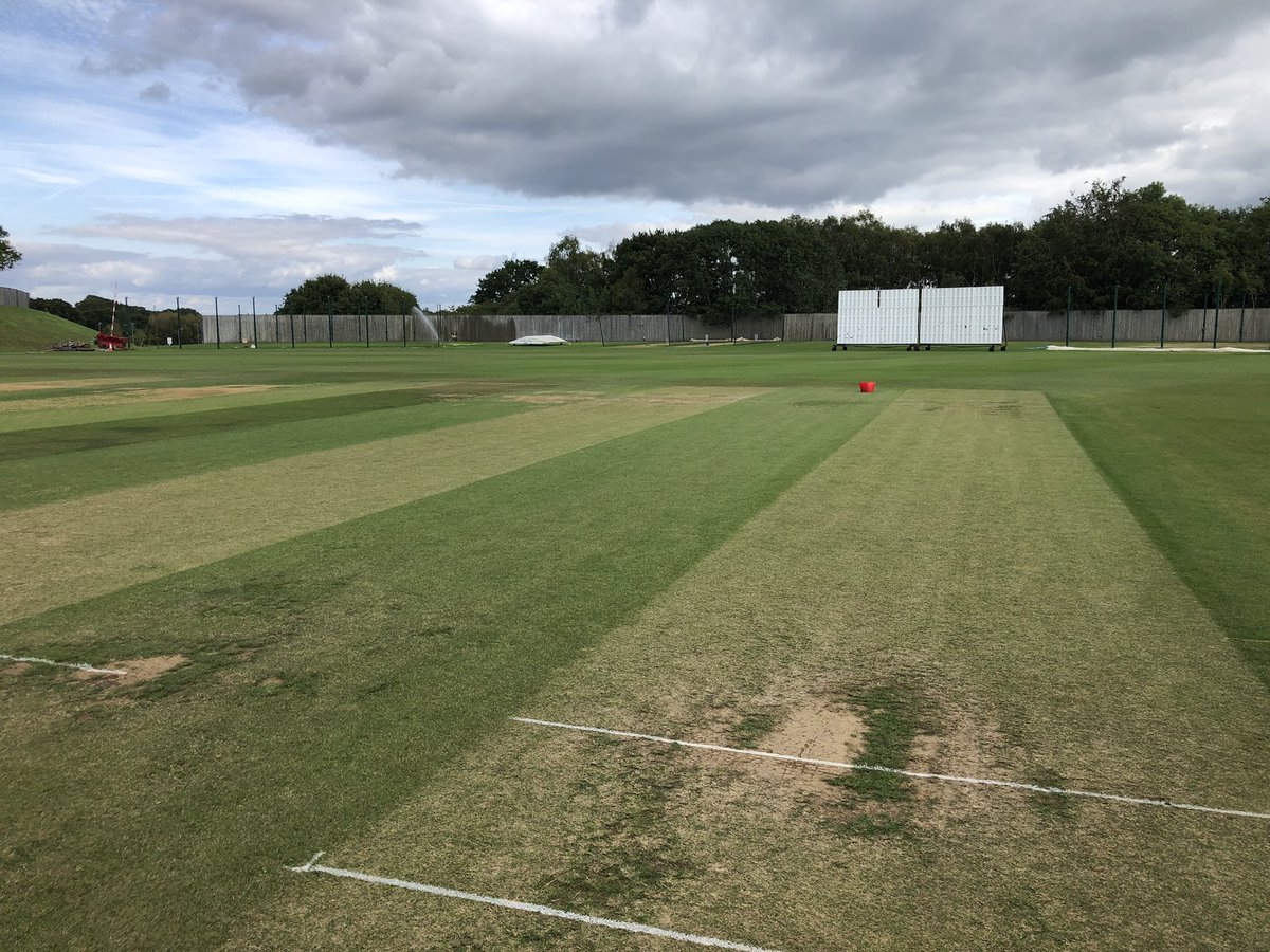 tomcowley17's tweet image. New seed coming along well from the first net block renovation 🌱 Used nets from the start of season brought back for this weeks cricket outfield double cut ahead of another busy week #firstteam #secondteam #finalpush @TheAgeasBowl #hardworkfromtheteam #HAMPSHIRE