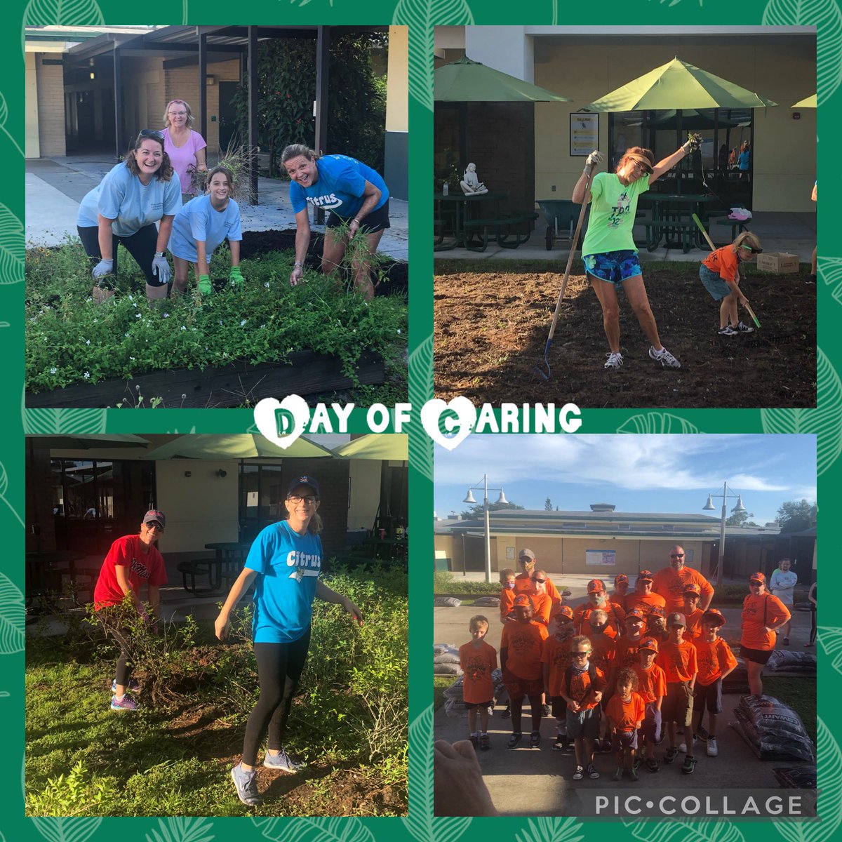 Citrus Elementary tweet media