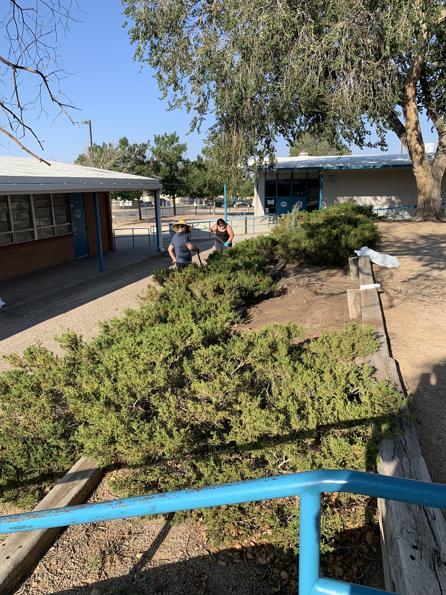 Sombra del Monte Elementary School on Twitter "Taking our first steps