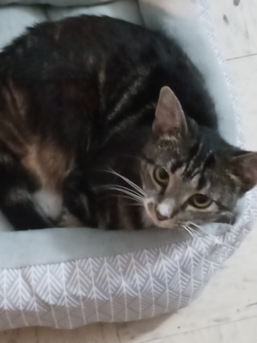 April Mathis (@AprilMa15619192) | Twitter