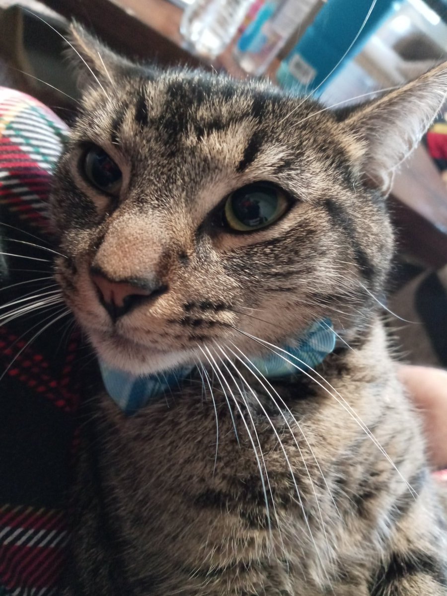 April Mathis (@AprilMa15619192) | Twitter