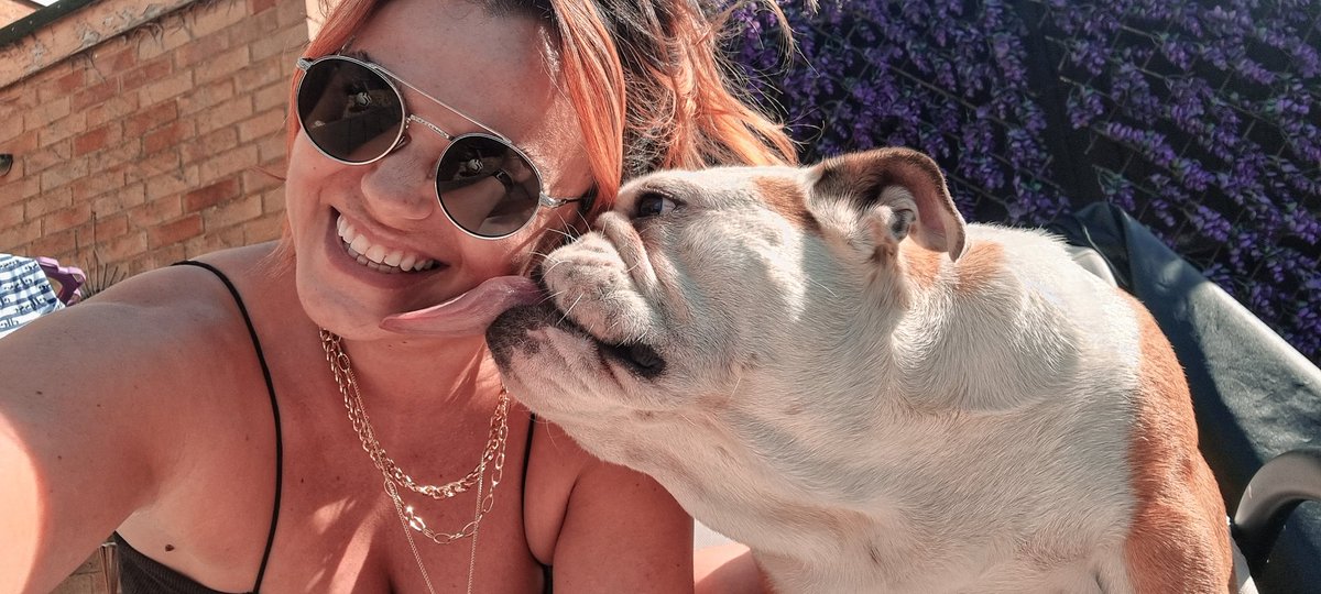 SammiBews's tweet photo. Smooch From My Pooch 💋 

Big Reg Giving Mumma Love 🤣

#dogsoftwitter #DogsofAv #Bigreg https://t.co/ahnRvlRRLH