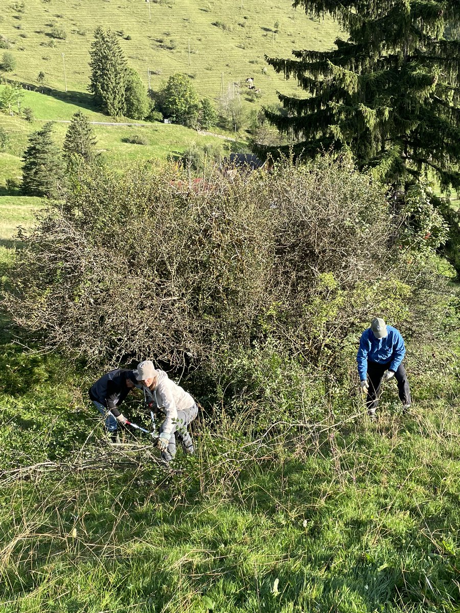 luethithomas's tweet photo. Heute ein erfolgreicher Arbeitstag von #BirdLifeSolothurn zusammen mit dem Jagdverein Gänsbrunnen.
Dreissig Freiwillige pflegen die artenreichen Lebensräume im #Naturparkthal #Subigerberg #Thal @SVS_BirdLife https://t.co/rYx3Kyq7Px