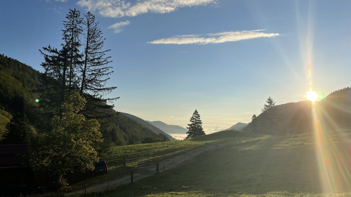 luethithomas's tweet photo. Heute ein erfolgreicher Arbeitstag von #BirdLifeSolothurn zusammen mit dem Jagdverein Gänsbrunnen.
Dreissig Freiwillige pflegen die artenreichen Lebensräume im #Naturparkthal #Subigerberg #Thal @SVS_BirdLife https://t.co/rYx3Kyq7Px