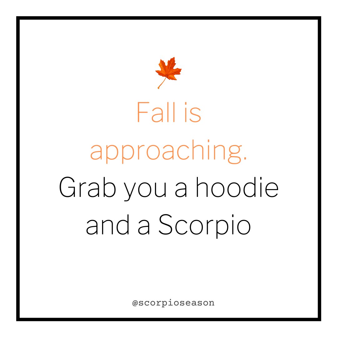 🍁🍂