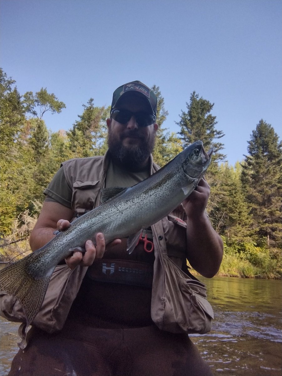 jgbassin's tweet image. Beautiful steelhead from this morning. I love this time of year!
#fishing #steelhead #steelheadfishing #trout #troutfishing #wisconsinfishing #wisconsin #MayhemCatch