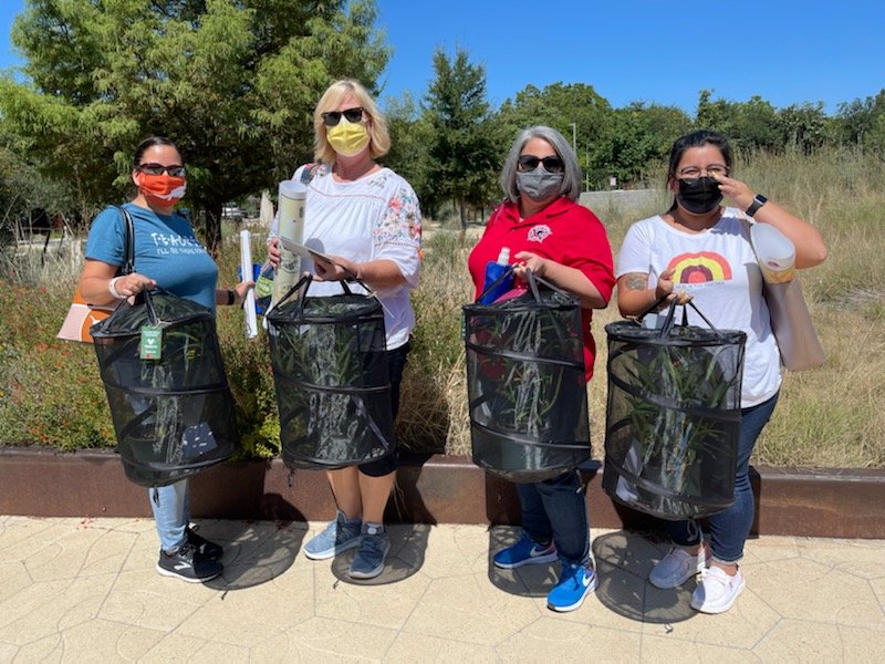 LaurelRodriguez's tweet photo. Learned a lot and had a great time with my teammates today at the Caterpillar Condo Training at Confluence Park. I can't wait to teach my students about the monarch butterfly.  @PrincipalBueno #RootedAtOtt @NISDOtt @olvera_vp https://t.co/zHVnHSMNZP