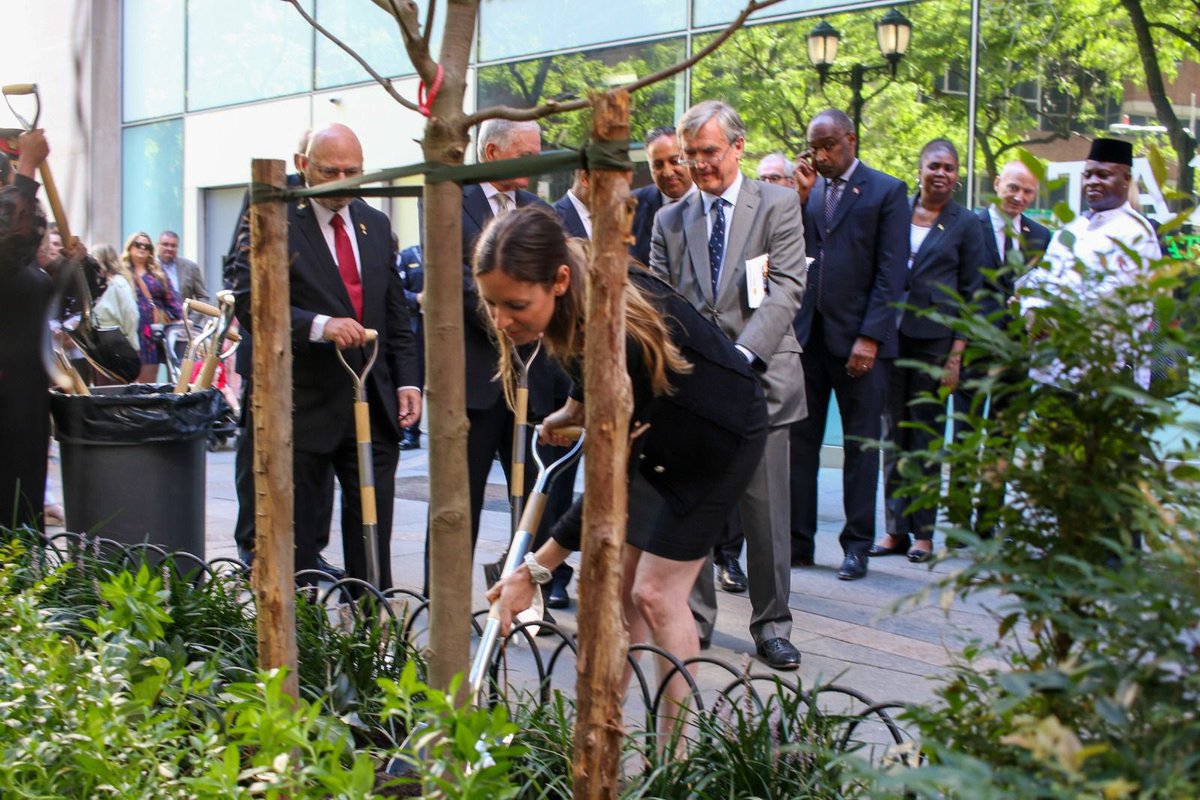 Hannah Young (@hannahyoungnyc) on Twitter photo The 🇬🇧 stands side-by-side with the 🇺🇸 as we mourn those who lost their lives 20 years ago in the September 11 attacks <a href="/UKinUSA/">British Embassy Washington</a> <a href="/UKinNewYork/">British Consulate NY 🇬🇧</a> <a href="/QEIIGarden/">QEII Garden</a> #Remember911 #911NeverForget The 🇬🇧 stands side-by-side with the 🇺🇸 as we mourn those who lost their lives 20 years ago in the September 11 attacks <a href="/UKinUSA/">British Embassy Washington</a> <a href="/UKinNewYork/">British Consulate NY 🇬🇧</a> <a href="/QEIIGarden/">QEII Garden</a> #Remember911 #911NeverForget