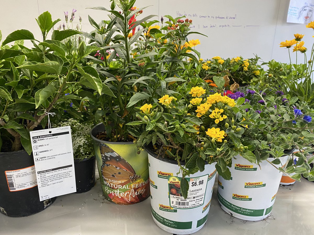 Keith Nuthall tweet media