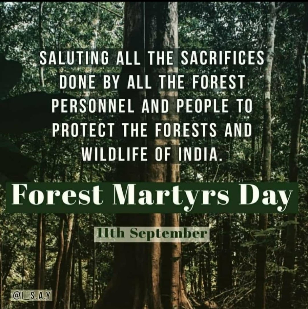 Vasanth Reddy IFS tweet media