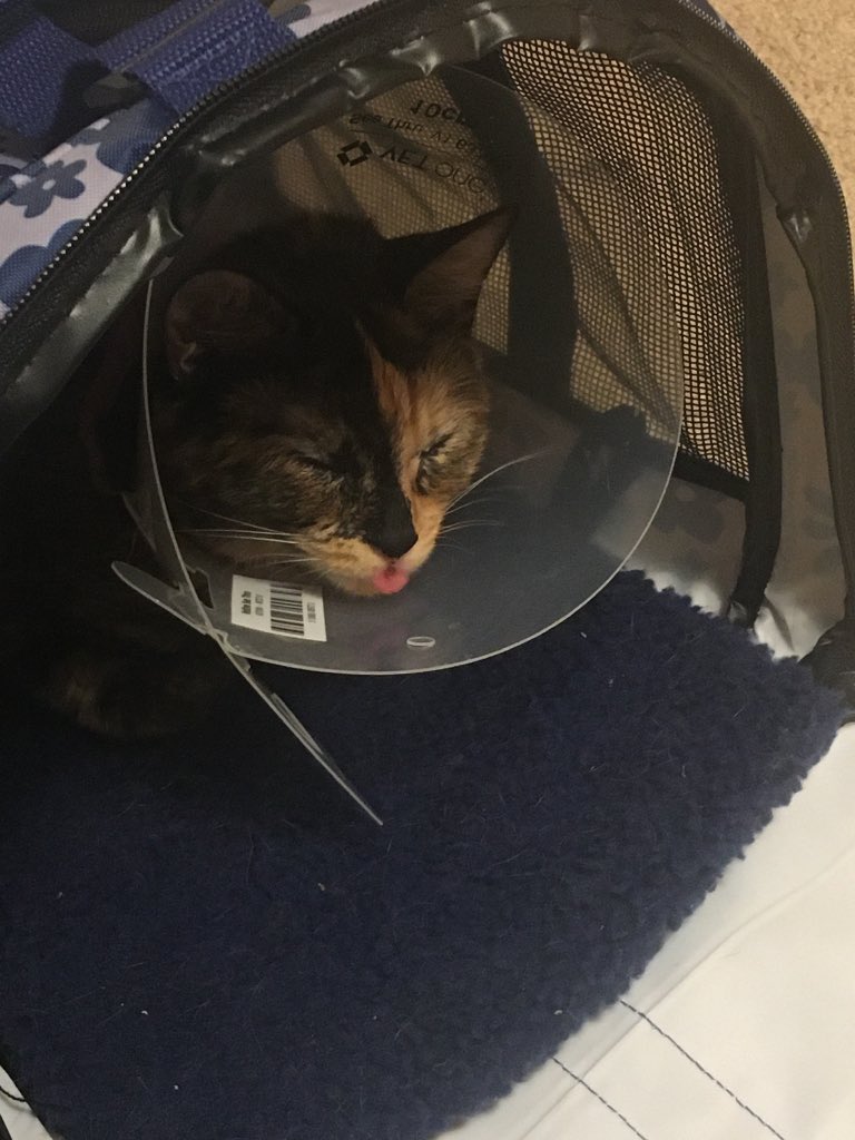 RedSabrie's tweet image. Kinda old pics but whatever