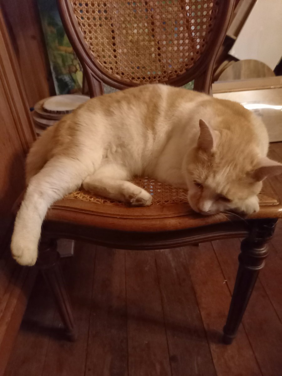 <a href="/larryjsexton47/">KittyCatKlub&Rescue</a> Bonne nuit