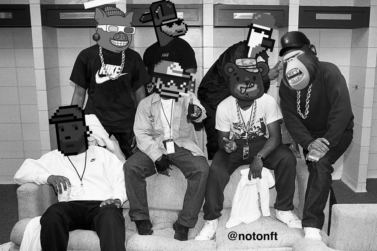 Noto | Turtles 🔼🐢 tweet media