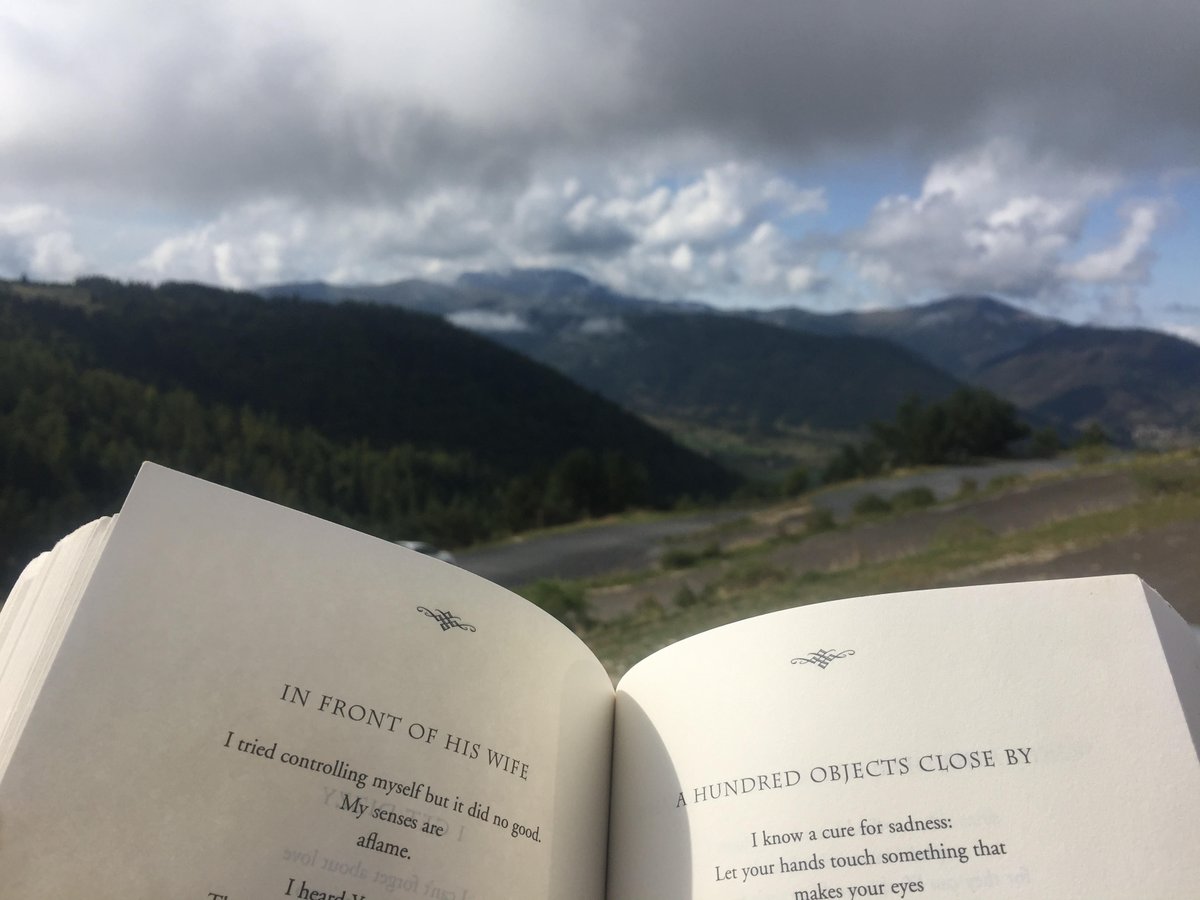 BridgetHolding's tweet photo. Reading Mira's poetry on a sunny September day in the mountains...  #wildwords #amwriting #amreading #amediting https://t.co/0dfMcQT3dN