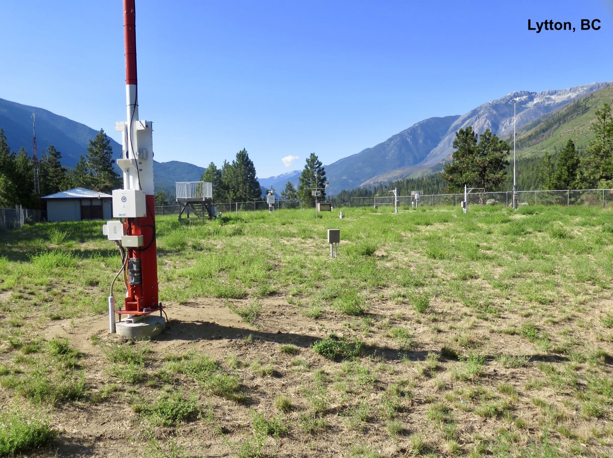 Thierry Goose Thierrygoosebc Twitter